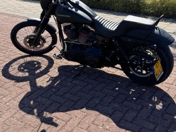 2011 Harley-Davidson Harley Davidson - Bieden (1/1)