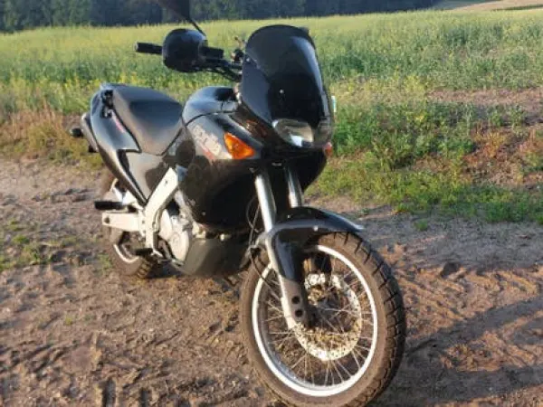 Year unknown Aprilia Pegaso 650 - €1,200 · Bidding (1/1)