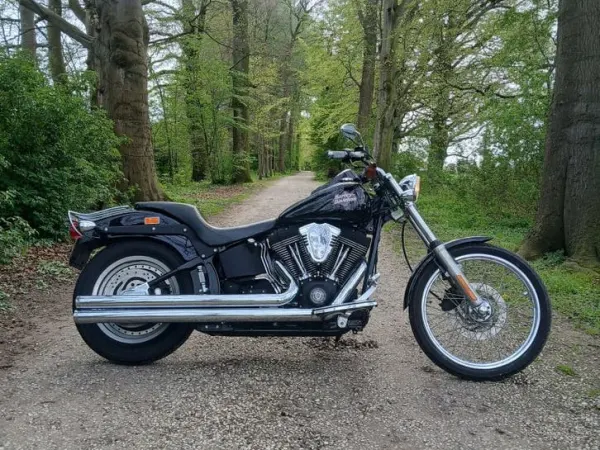 2001 Harley-Davidson Fxstb - € 7.950 (1/1)