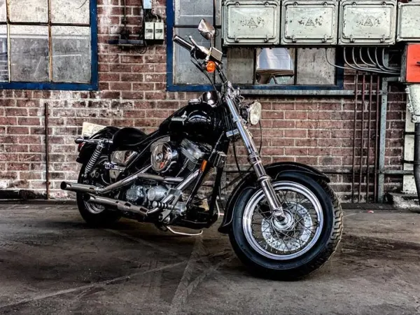 1991 Harley-Davidson Chopper-Klassieke stijl, Krachtige Motor - Bidding (1/1)