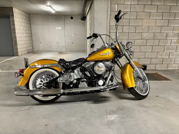 1992 Harley-Davidson Softail Custom - Bieden (1/1)