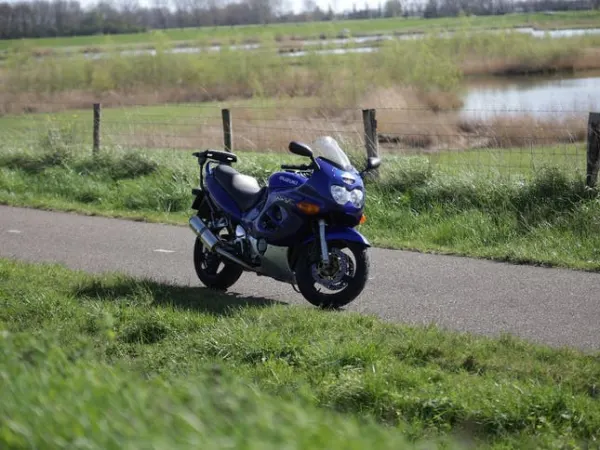 2002 Suzuki GSX 600 - Gereserveerd (1/1)