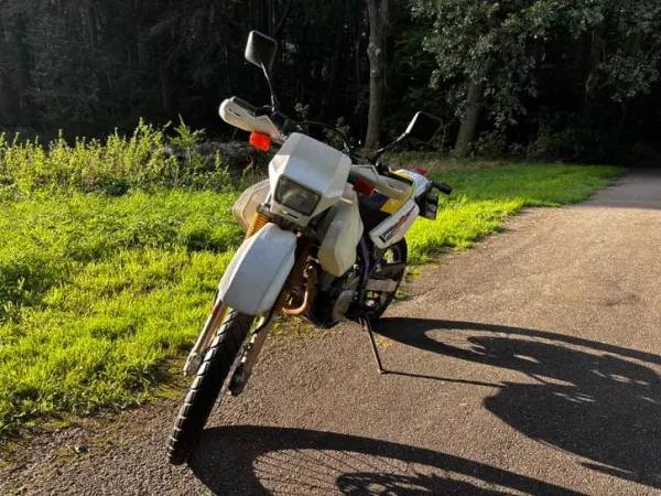 1996 Suzuki DR 650 - Bieden (1/1)