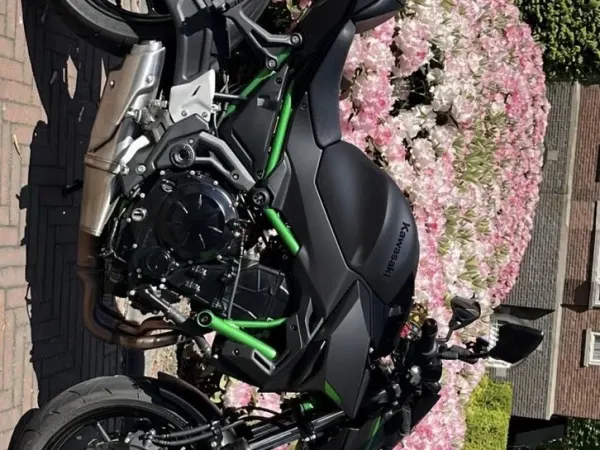 2023 Kawasaki Z650 2023-Sportieve Naked! - €6,900 · Bidding (1/1)
