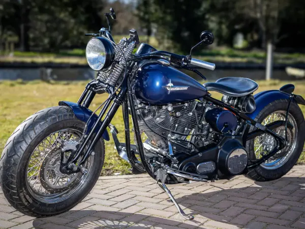 1985 Harley-Davidson Softail - € 13.000 (1/1)