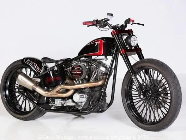 1996 Harley-Davidson Custom Harley Hardtail - €14,500 · Bidding (1/1)