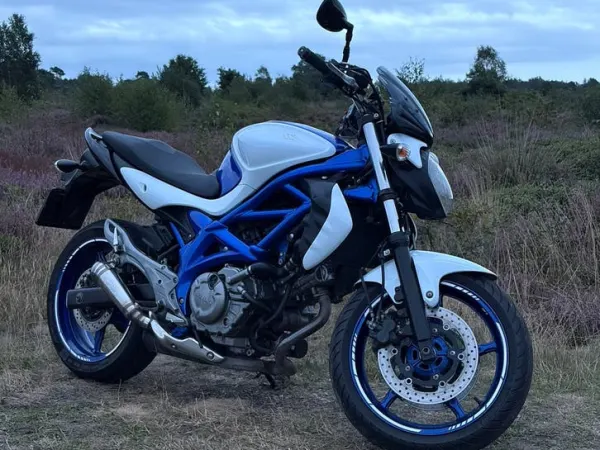 2011 Suzuki Gladius 650 - €4,750 · Bidding (1/1)