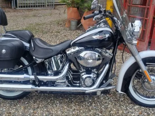 2006 Harley-Davidson Softail Deluxe - €10,500 (1/1)