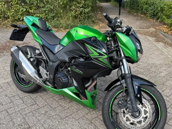 2015 Kawasaki Z 300 - €2,899 (1/1)