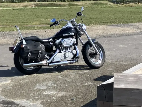 1999 Harley-Davidson Sportster 883 - €3,995 (1/1)