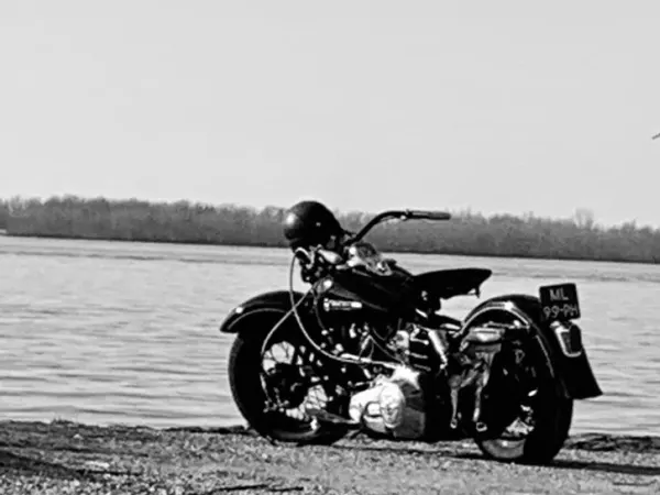 1981 Harley-Davidson Panhead - € 16.500 · Bieden (1/1)