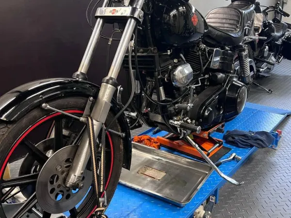 1981 Harley-Davidson Sturgis - €12,000 · Bidding (1/1)