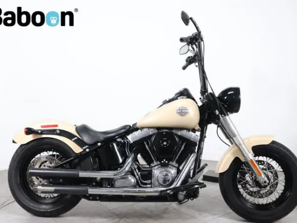 2015 Harley-Davidson FLS Softail Slim (bj 2015) - € 6.950 (1/1)