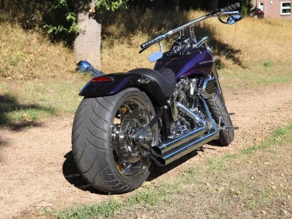 2004 Harley-Davidson Softail - Bieden (1/1)