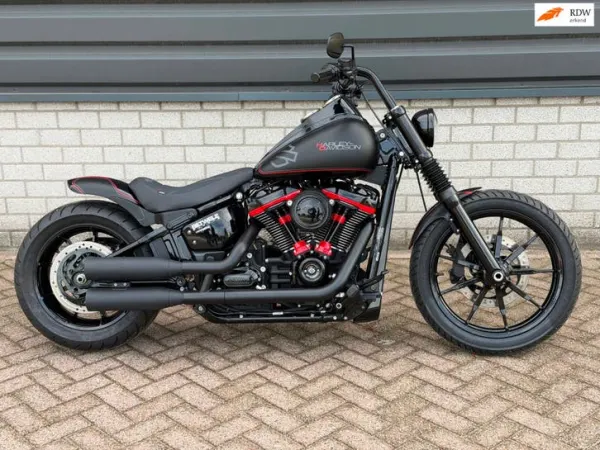 2020 Harley-Davidson Softail Custom - € 19.250 (1/1)