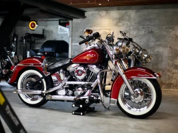1992 Harley-Davidson Softail - € 8.950 (1/1)