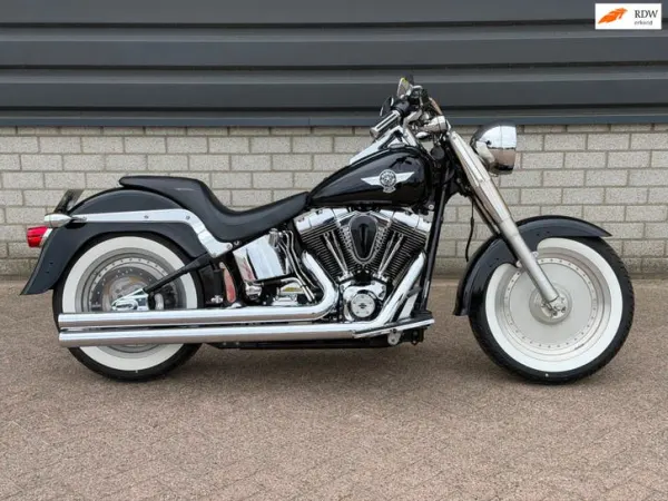 2001 Harley-Davidson Softail - € 8.999 (1/1)