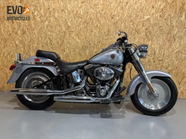 2002 Harley-Davidson Softail - € 10.450 (1/1)