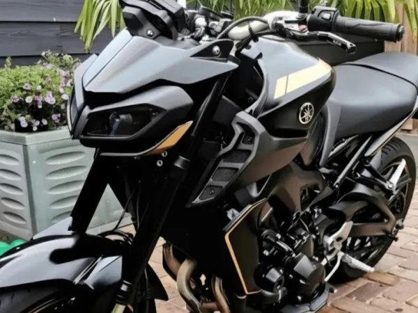 2019 Yamaha MT 09 - Bidding (1/1)