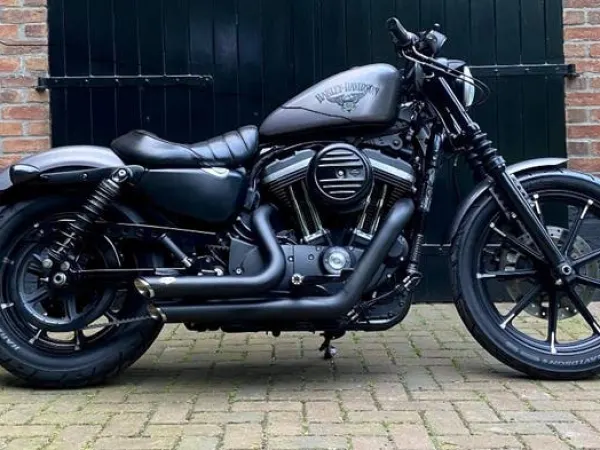 2017 Harley-Davidson Sportster Iron 883 - €9,500 · Bidding (1/1)