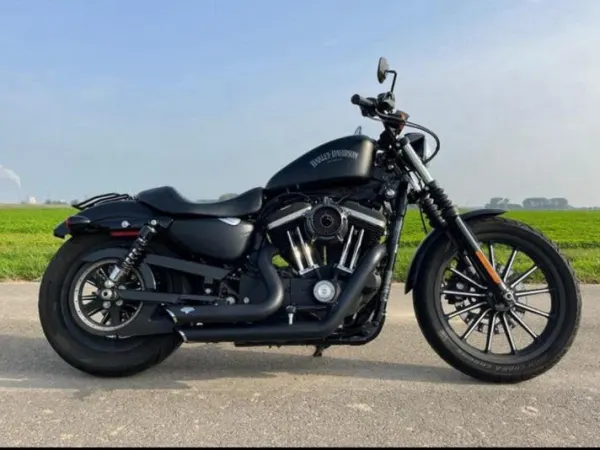 2013 Harley-Davidson Sportster XL 883 - €9,250 · Bidding (1/1)