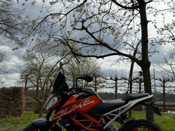 2017 KTM Duke 390-Perfecte A2 motor! - €3,595 · Bidding (1/1)