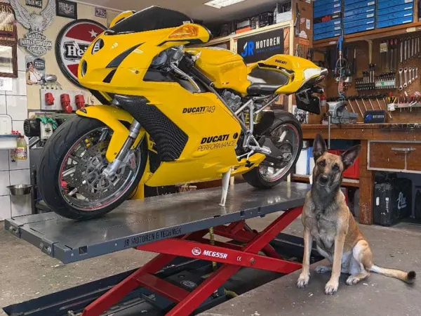 2003 Ducati 749 Testastretta - € 6.250 · Bieden (1/1)