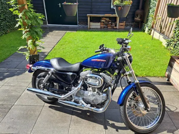 2006 Harley-Davidson Sportster 883 - €5,300 · Bidding (1/1)