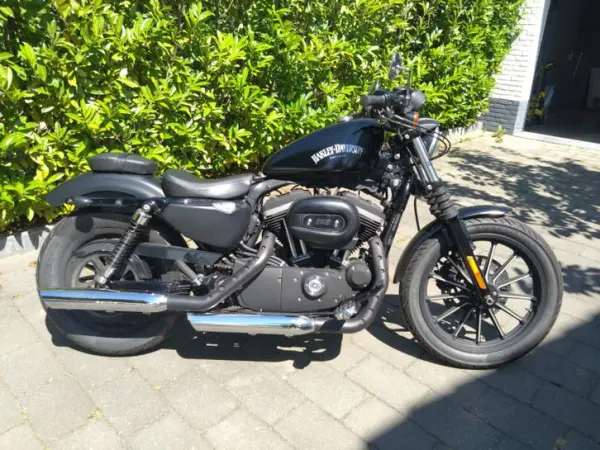2013 Harley-Davidson Sportster XL 883 - €7,000 · Bidding (1/1)