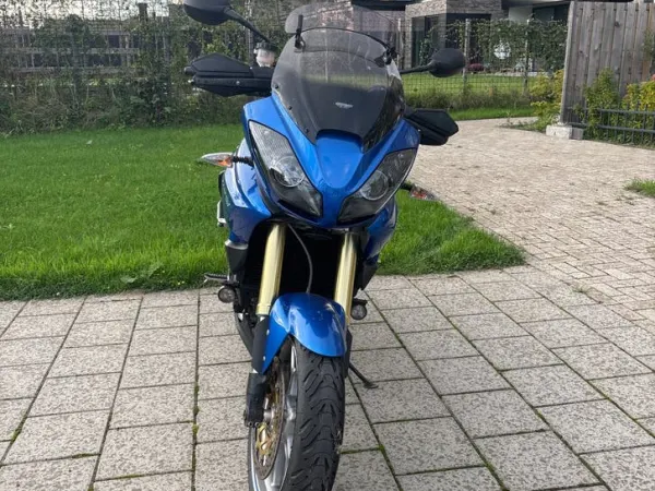 2009 Triumph Tiger 1050 - €4,500 · Bidding (1/1)