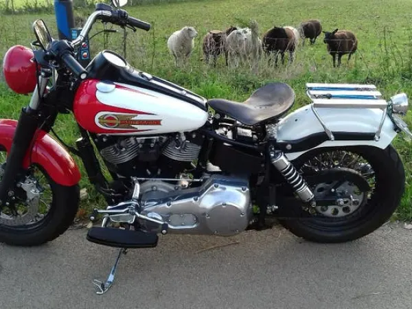 1973 Harley-Davidson Shovelhead - €19,500 (1/1)