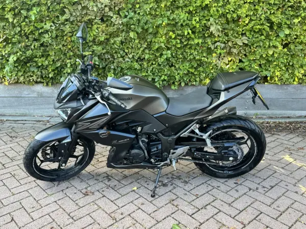 2015 Kawasaki Z 300 - € 3.750 (1/1)