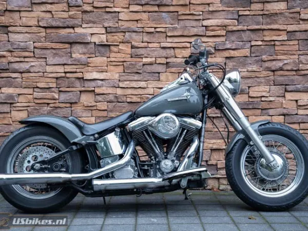1989 Harley-Davidson Softail - € 9.500 (1/1)