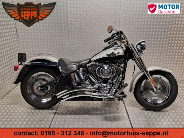 2003 Harley-Davidson Fat Boy Flstf - € 7.997 (1/1)