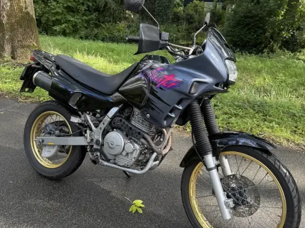1996 Honda NX 650 - € 3.250 (1/1)