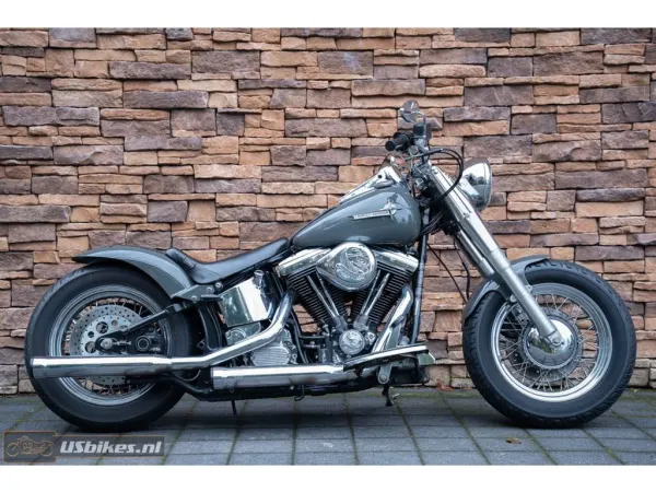 1989 Harley-Davidson Heritage Softail Flst - €9,500 (1/1)