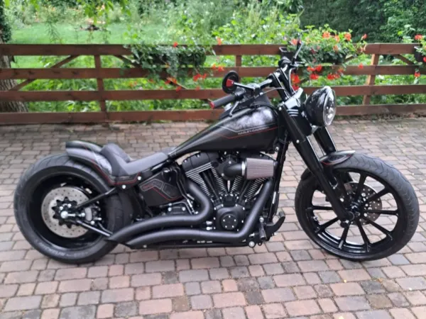 2007 Harley-Davidson Fxst Custom - €14,950 (1/1)