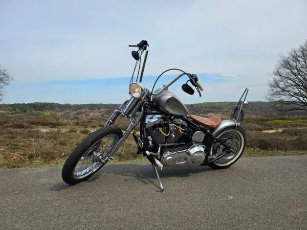 1997 Harley-Davidson Softail - € 7.950 (1/1)