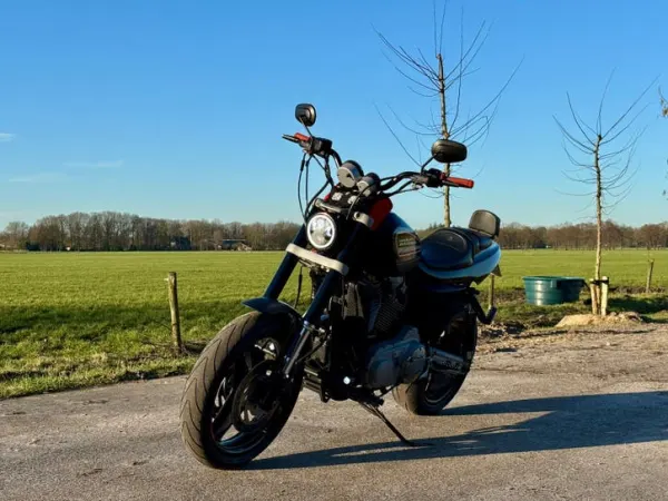 2010 Harley-Davidson XR1200 Sportster - € 7.000 (1/1)
