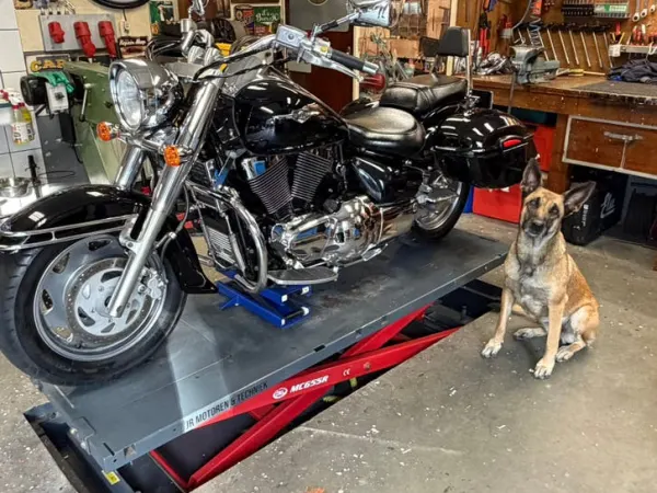 Bouwjaar onbekend Suzuki VL 1500 - € 5.650 (1/1)