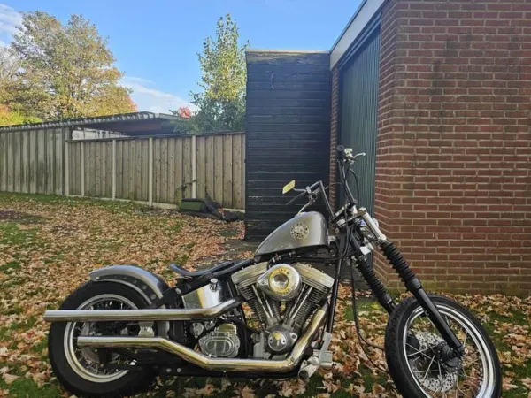1993 Harley-Davidson Eigenbouw Eigenbouw Softtail Custom - €8,900 · Bidding (1/1)