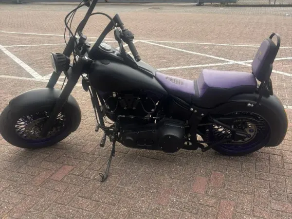 1991 Harley-Davidson Eigenbouw Eigenbouw Softtail Custom - €12,500 · Bidding (1/1)