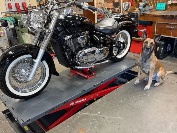 2006 Suzuki Intruder C 800 - €4,450 · Bidding (1/1)