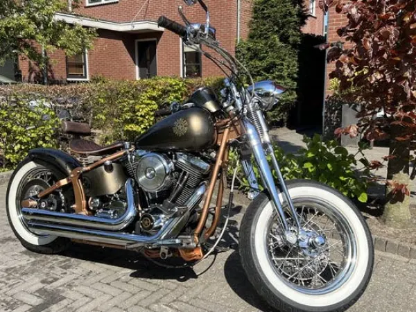 2008 Harley-Davidson Heritage Softail Springer - €10,950 · Bidding (1/1)