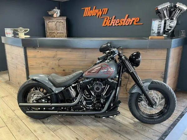 2016 Harley-Davidson FLS Softail Slim Custom Special Paint Custom - € 19.899 (1/1)