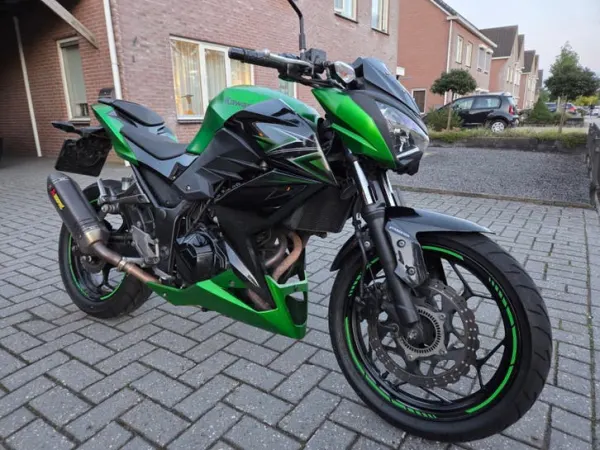 2016 Kawasaki Z 300 - € 2.999 (1/1)