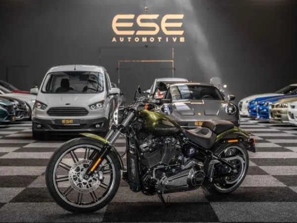 2022 Harley-Davidson Softail - € 27.995 (1/1)