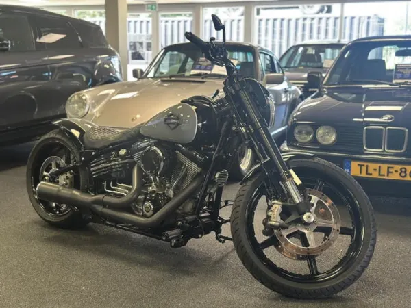 2009 Harley-Davidson Softail - € 19.900 (1/1)