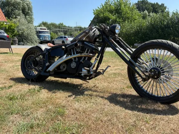 Year unknown Harley-Davidson L&L Custom Harley - €16,000 · Bidding (1/1)