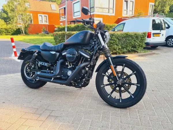 2019 Harley-Davidson Iron 883 - €10,500 (1/1)